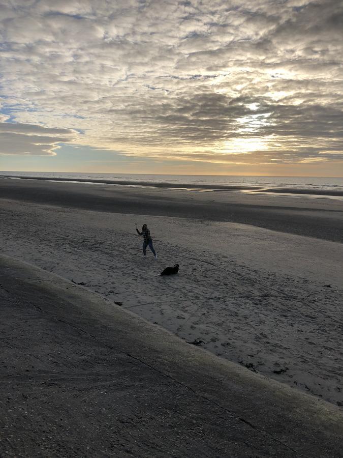 Villa Fernley De Panne Eksteriør bilde